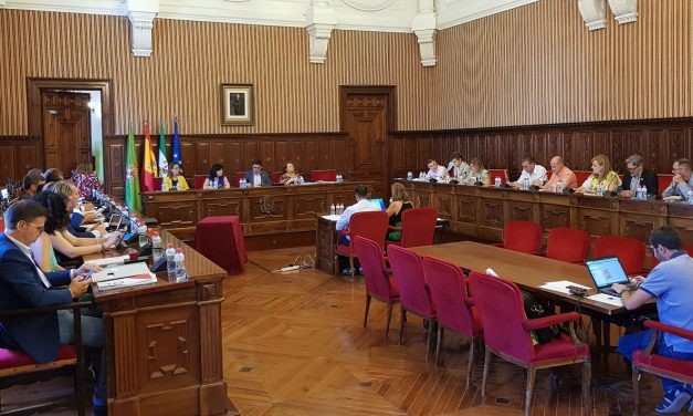 La Diputación aprueba los primeros 5 millones de euros con los que estará dotado el Plan Especial de Empleo Municipal