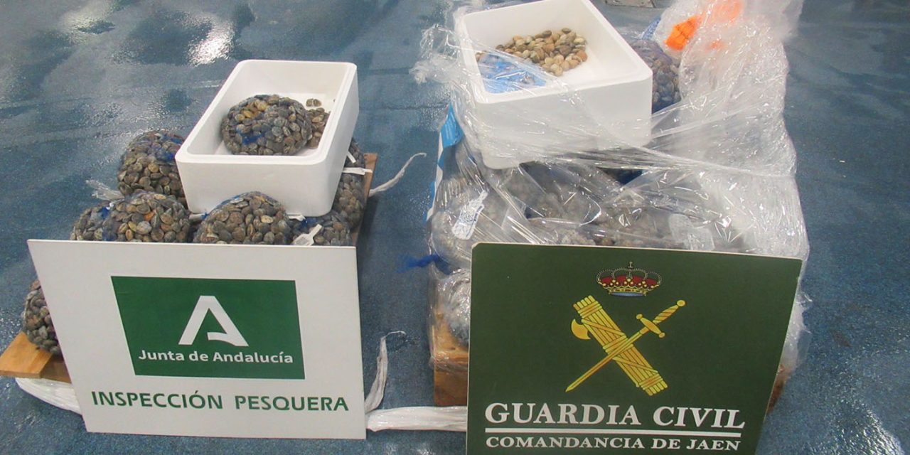 SUCESOS | Intervenidos 165 kilogramos de chirlas en el Polígono del Guadiel